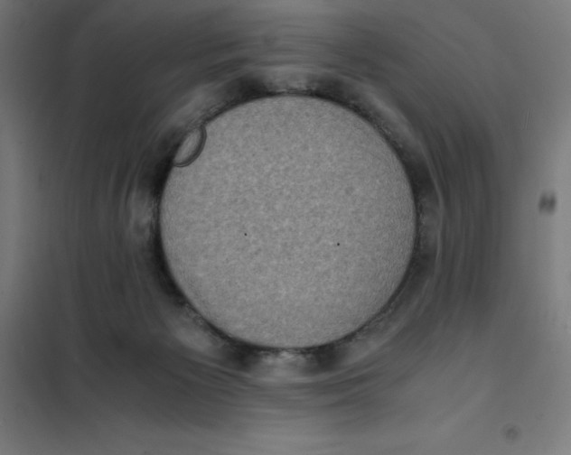 X0000101190125200807251011