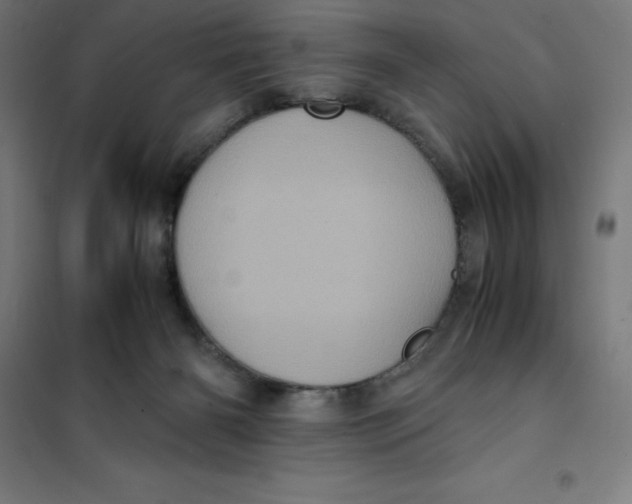 X0000101190126200807251011