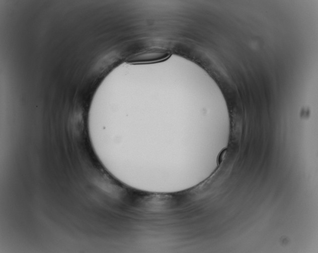 X0000101190128200807251011
