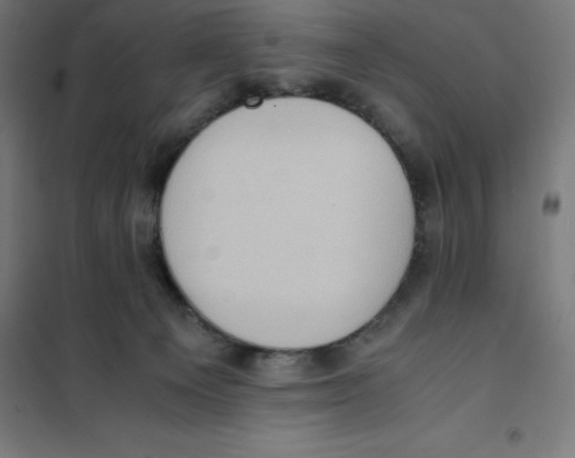 X0000101190129200807251011