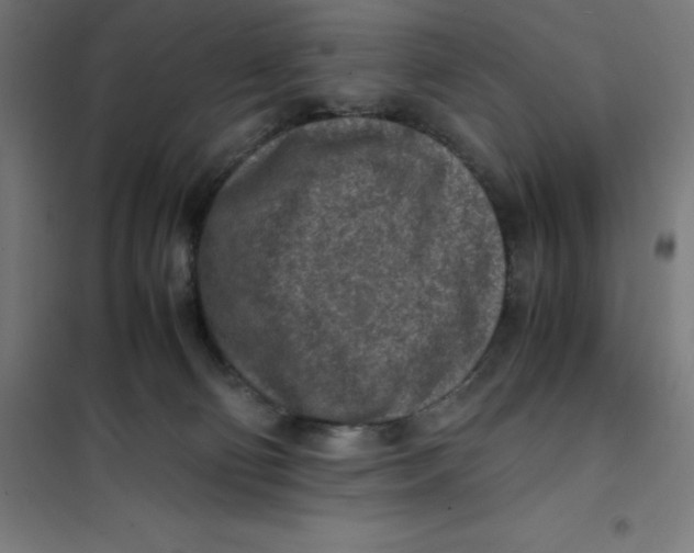 X0000101190130200807251011