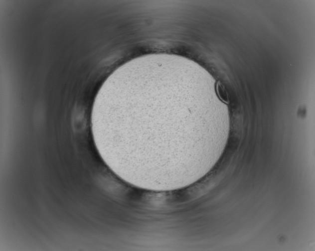 X0000101190131200807251011