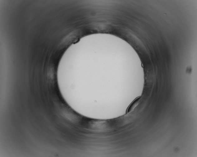 X0000101190132200807251011