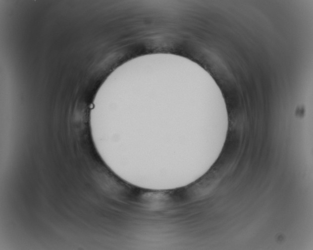 X0000101190133200807251011
