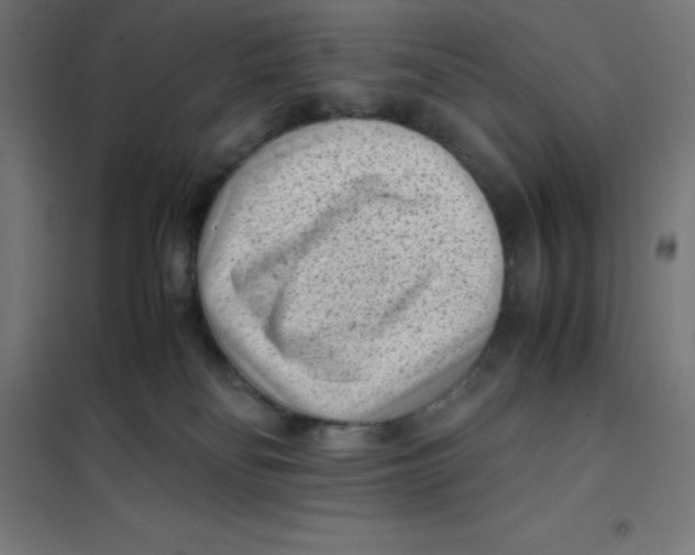 X0000101190134200807251011
