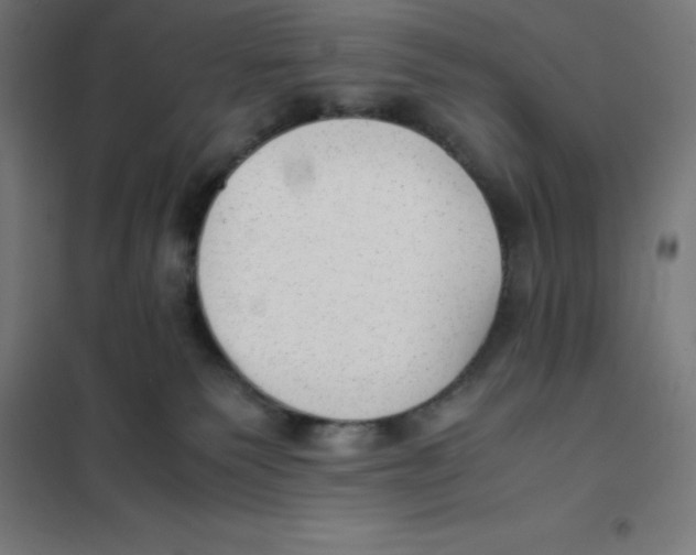 X0000101190135200807251011