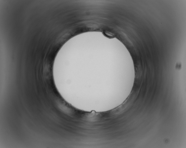 X0000101190136200807251011