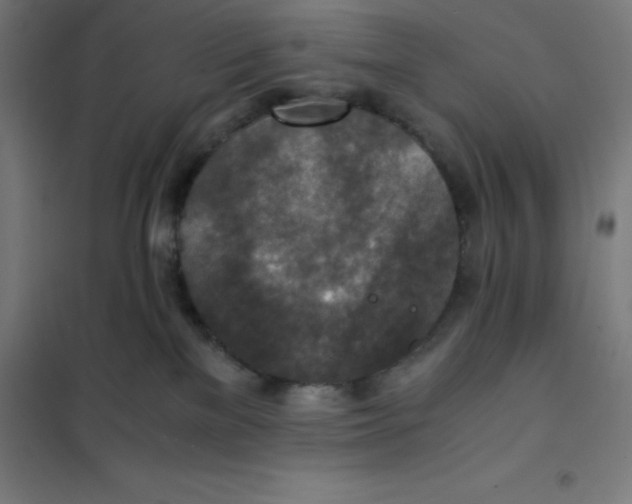 X0000101190137200807251011