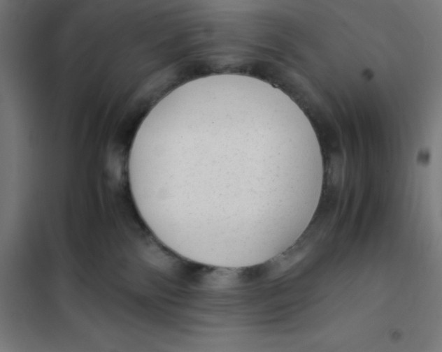 X0000101190138200807251011