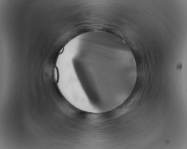 X0000101190139200807251011