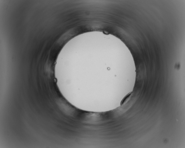 X0000101190140200807251011