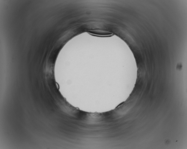 X0000101190141200807251011