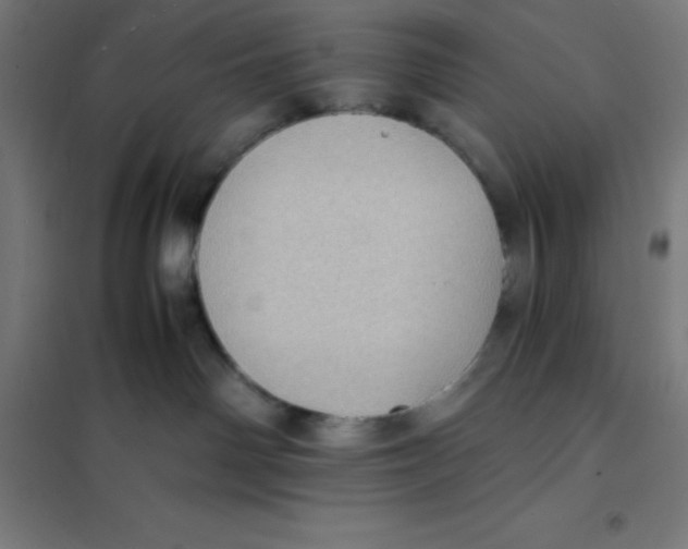 X0000101190142200807251011