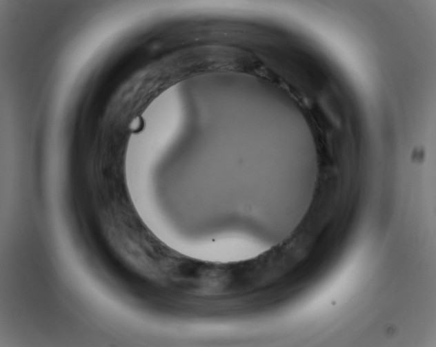 X0000101190143200807251011