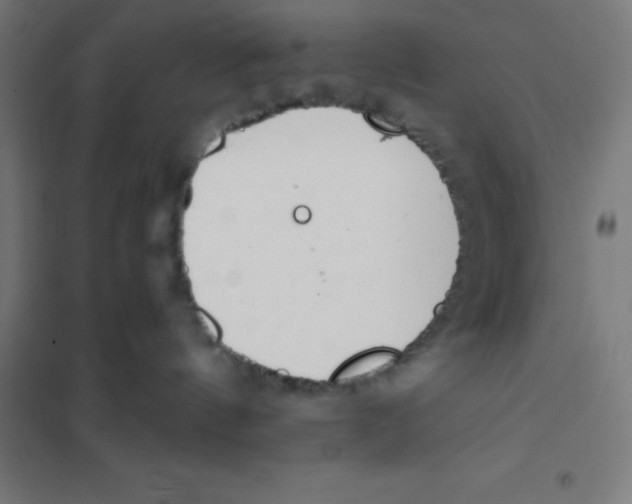 X0000101190144200807251011