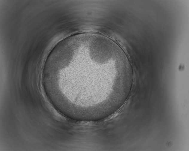 X0000101190145200807251010