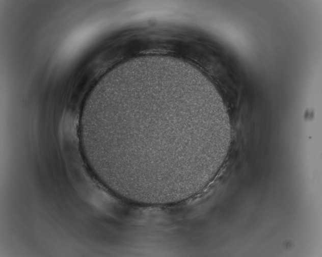 X0000101190146200807251010