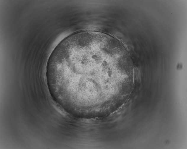 X0000101190147200807251010