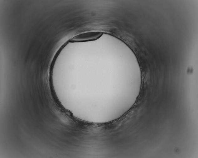 X0000101190148200807251010