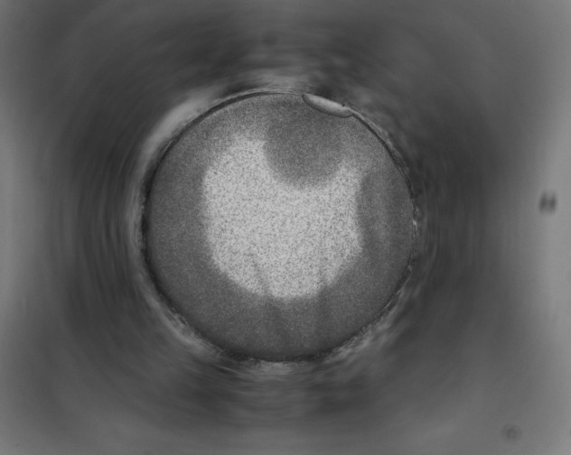 X0000101190149200807251010