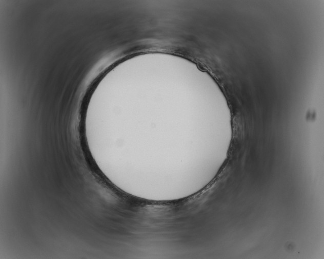 X0000101190150200807251010