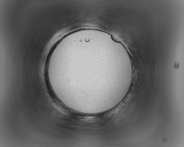 X0000101190151200807251010
