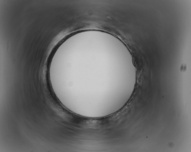 X0000101190152200807251010