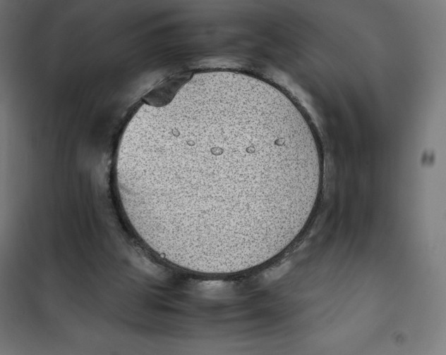 X0000101190153200807251010