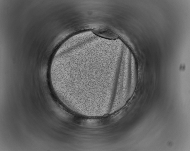 X0000101190154200807251010