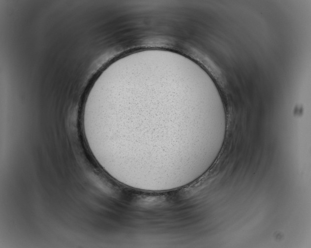 X0000101190155200807251010