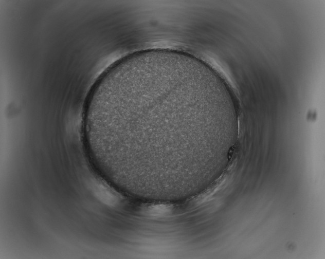 X0000101190156200807251010