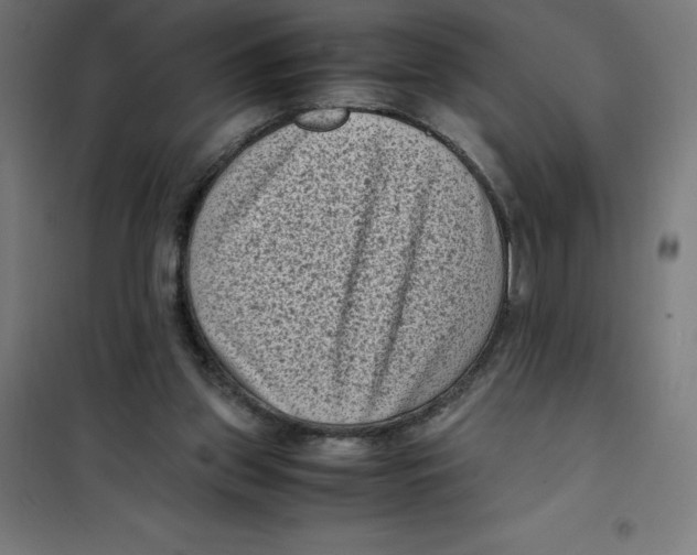 X0000101190157200807251010
