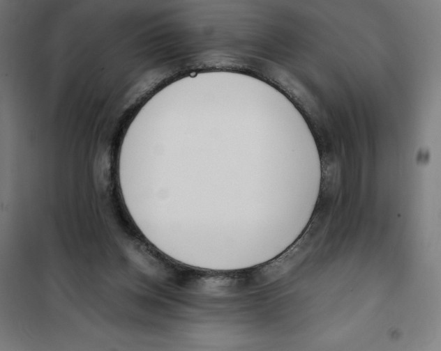 X0000101190158200807251010