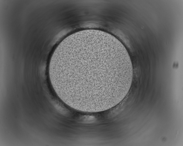 X0000101190159200807251010