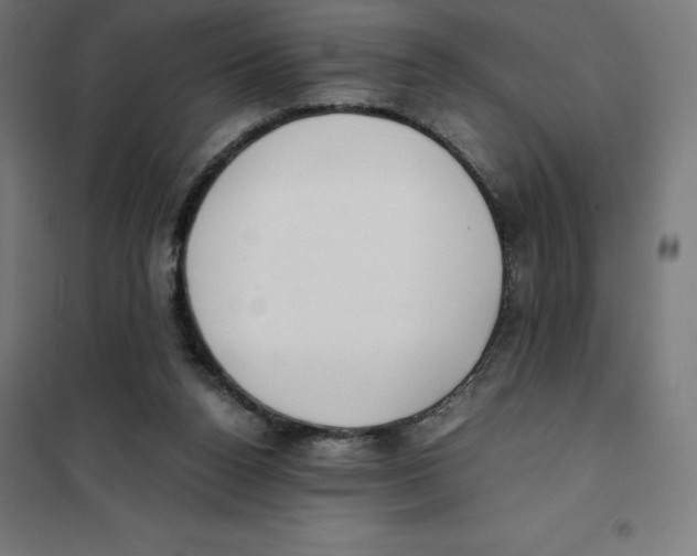 X0000101190160200807251010