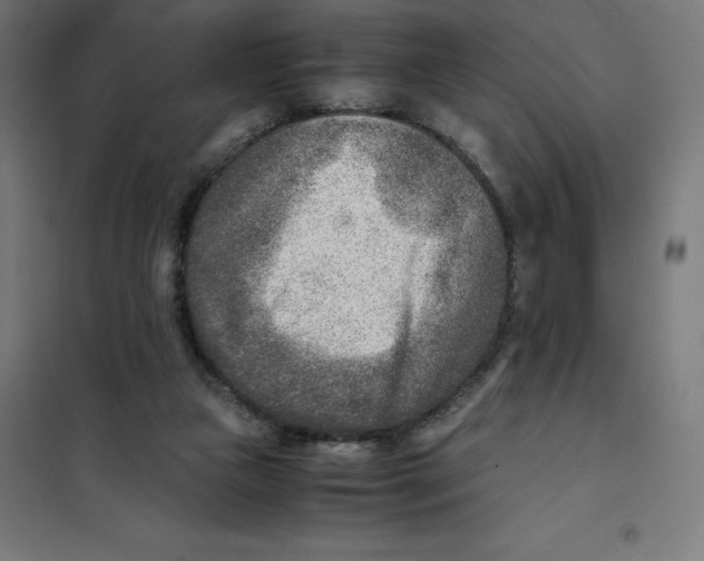 X0000101190161200807251010