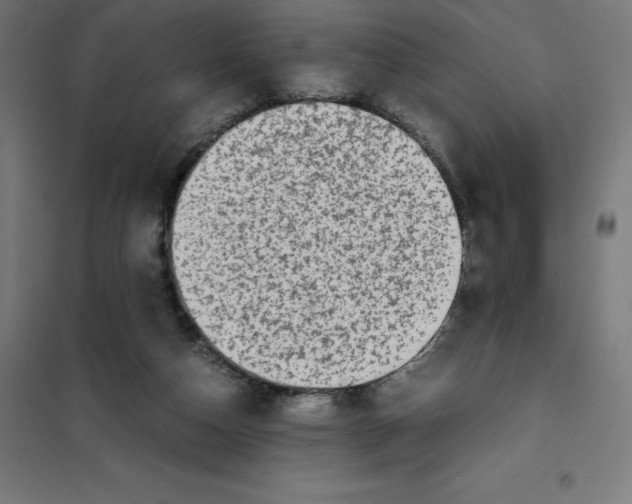X0000101190162200807251010
