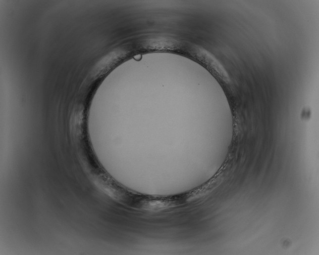 X0000101190163200807251010