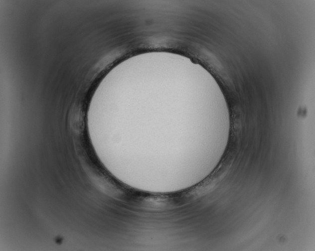 X0000101190164200807251010