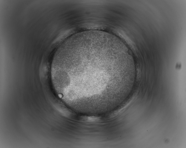 X0000101190165200807251010