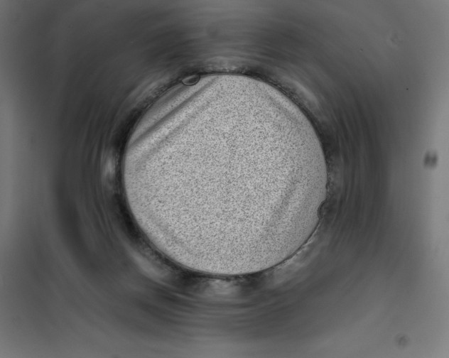 X0000101190166200807251010