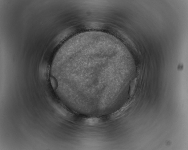 X0000101190168200807251010
