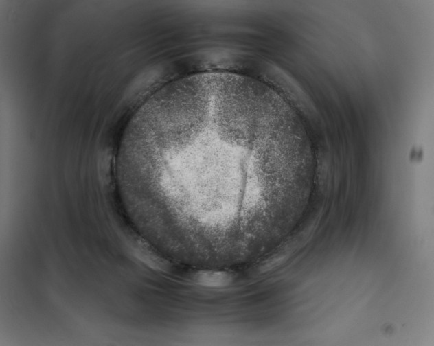 X0000101190169200807251010