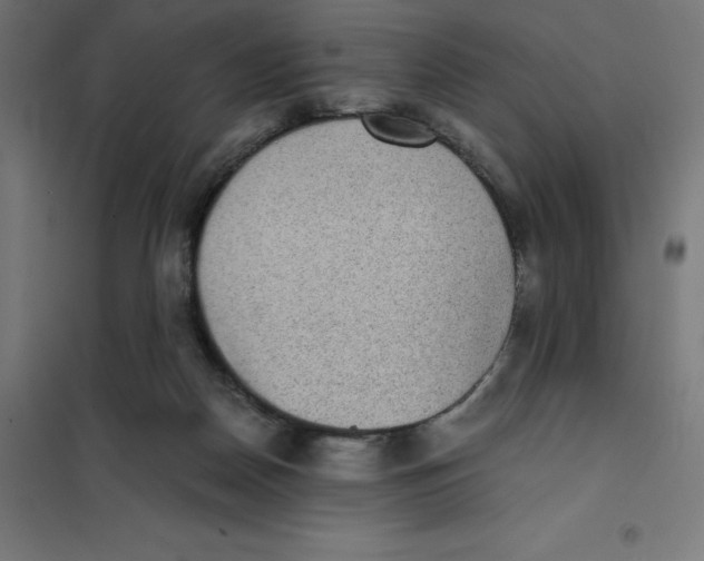 X0000101190170200807251010