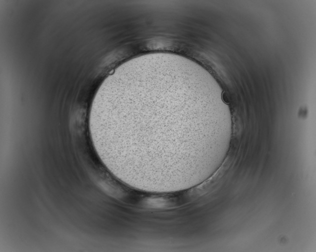 X0000101190171200807251010