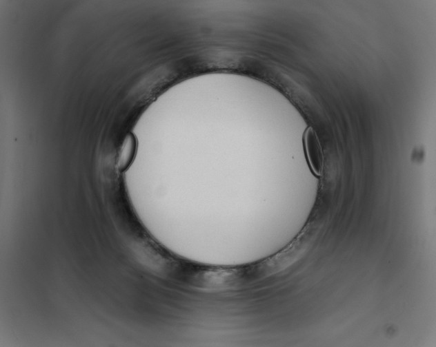 X0000101190172200807251010