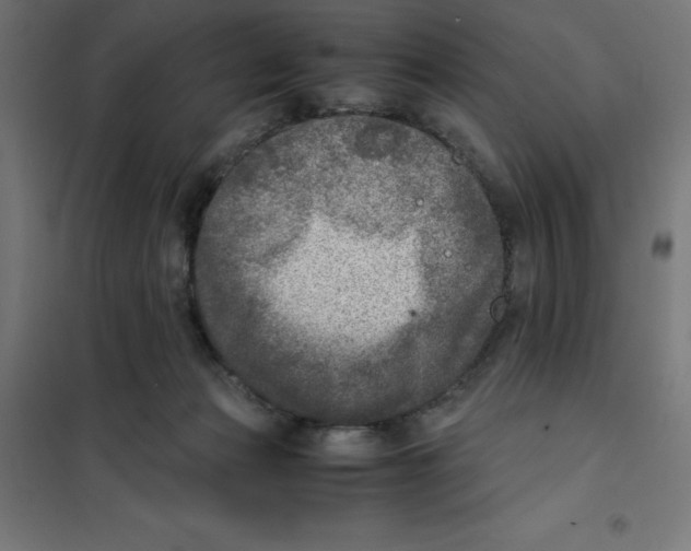 X0000101190173200807251010