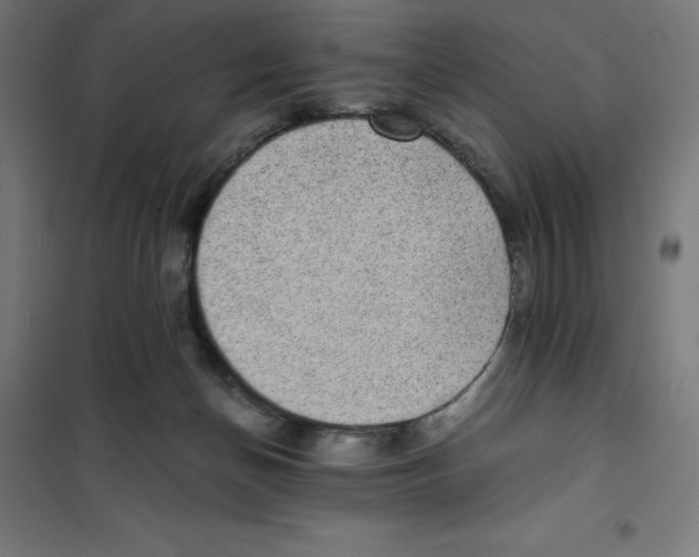 X0000101190174200807251010