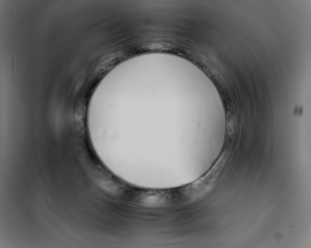 X0000101190175200807251010