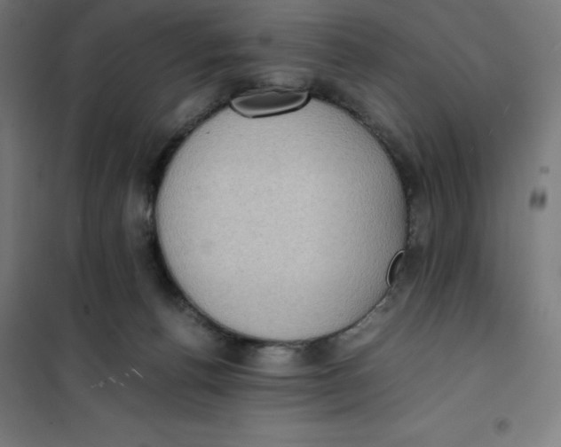 X0000101190176200807251010